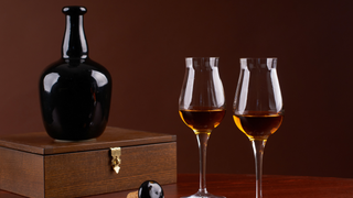 Great, even tulip glasses are sexist